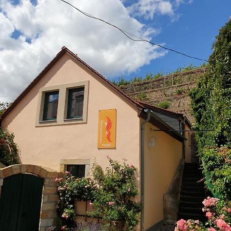 Unterkunft Am Weinberg Nunchritz Exterior foto