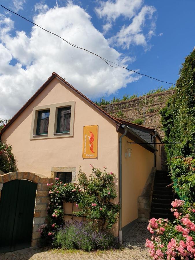 Unterkunft Am Weinberg Nunchritz Exterior foto